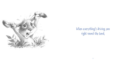 Little Bunny's Book of Friends