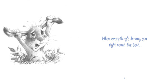 Little Bunny's Book of Friends