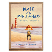 Load image into Gallery viewer, Mali a&#39;r Môr Stormus Postcard Pack - Welsh
