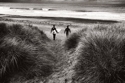 The Starlings & Other Stories