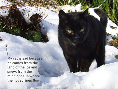 My Sad Cat Christmas Card Pack