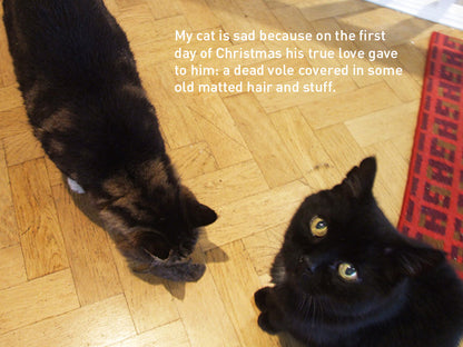 My Sad Cat Christmas Card Pack