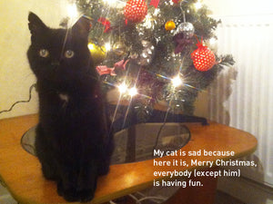 My Sad Cat Christmas Card Pack