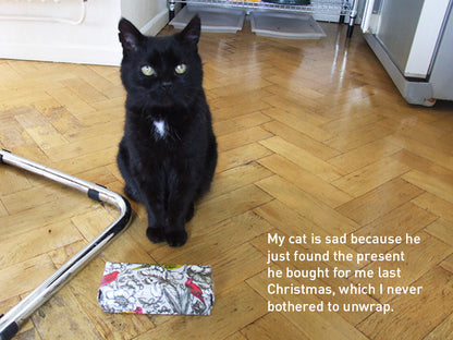 My Sad Cat Christmas Card Pack