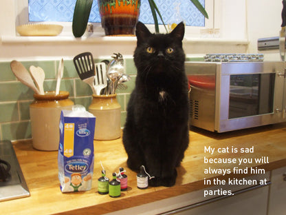 My Sad Cat Christmas Card Pack