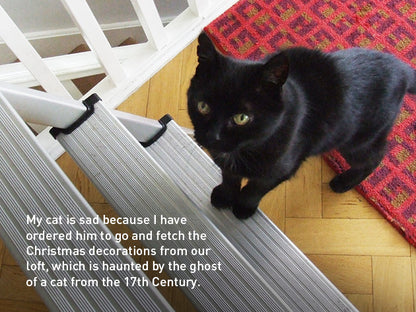 My Sad Cat Christmas Card Pack