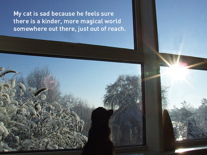 My Sad Cat Christmas Card Pack