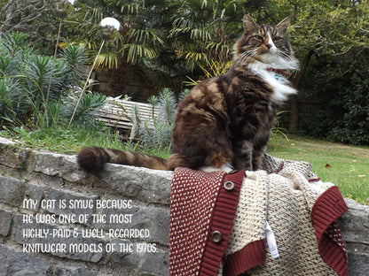 My Smug Cat Notecard Pack