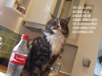 My Smug Cat Notecard Pack