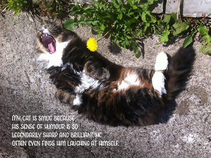 My Smug Cat Notecard Pack