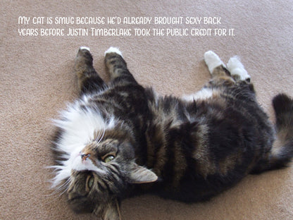 My Smug Cat Notecard Pack