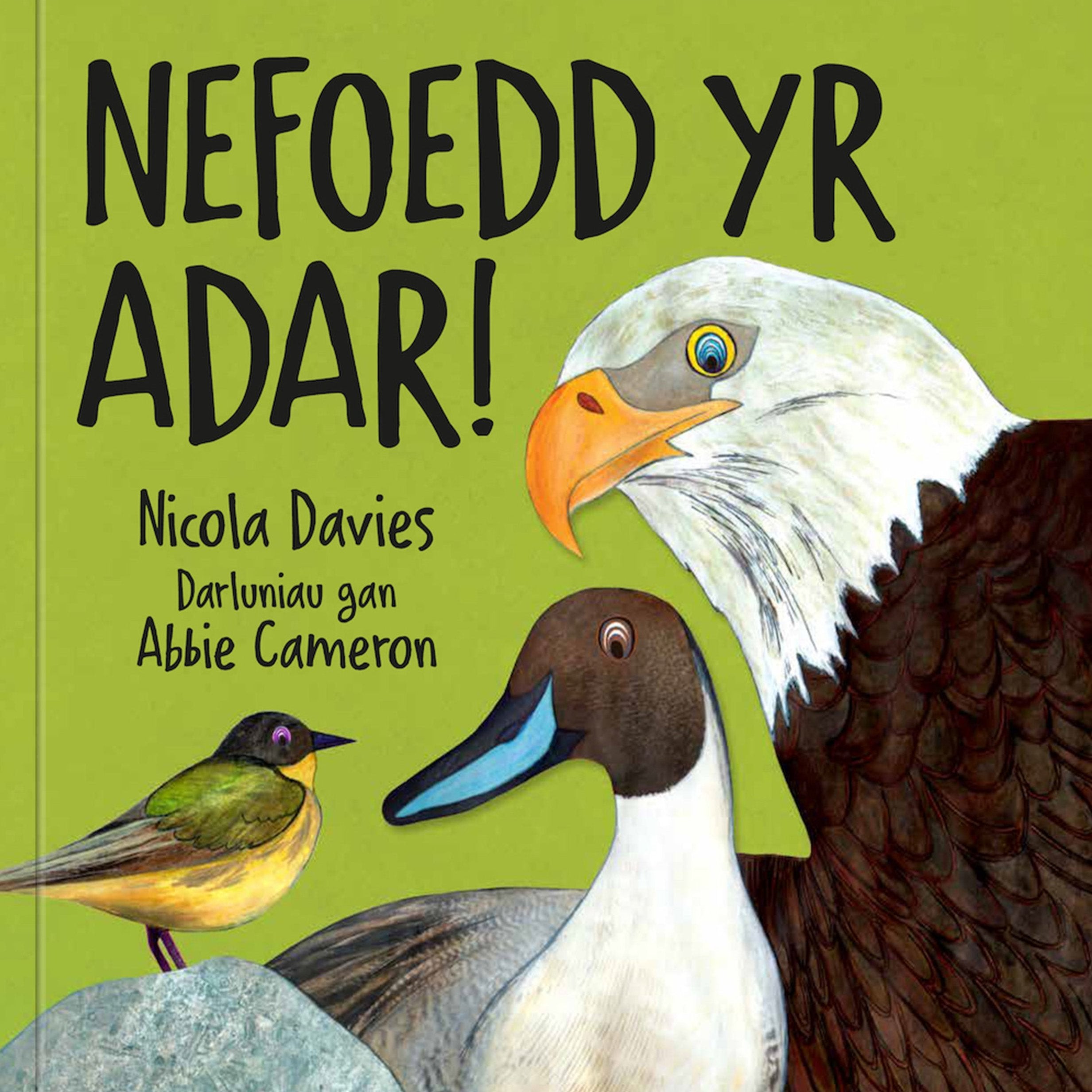 Nefoedd Yr Adar Graffeg Books nefoedd-yr-adar-graffeg-books