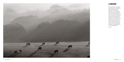 Pembrokeshire by David Wilson