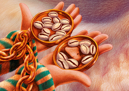 Mali a'r M r Stormus Postcard Pack - Welsh