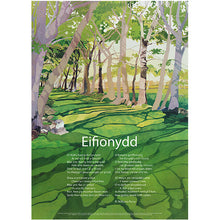 Load image into Gallery viewer, Eifionydd - Poster Poem
