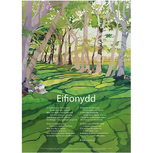 Eifionydd - Poster Poem