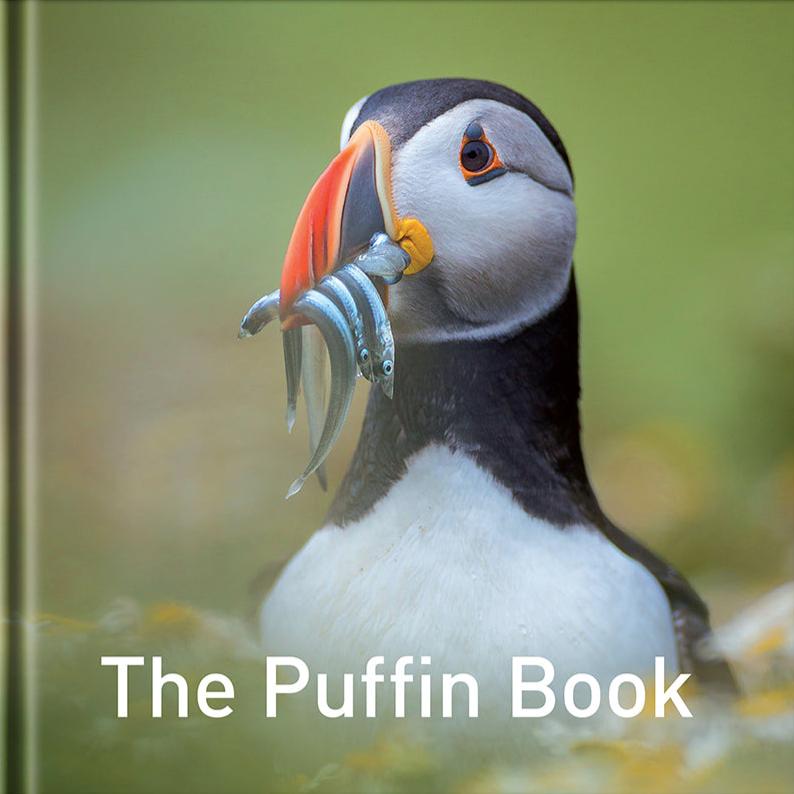 Puffin Book Logo Shoreham Birding ShorehamBirds X puffin-book-logo-shoreham-birding-shorehambirds-x