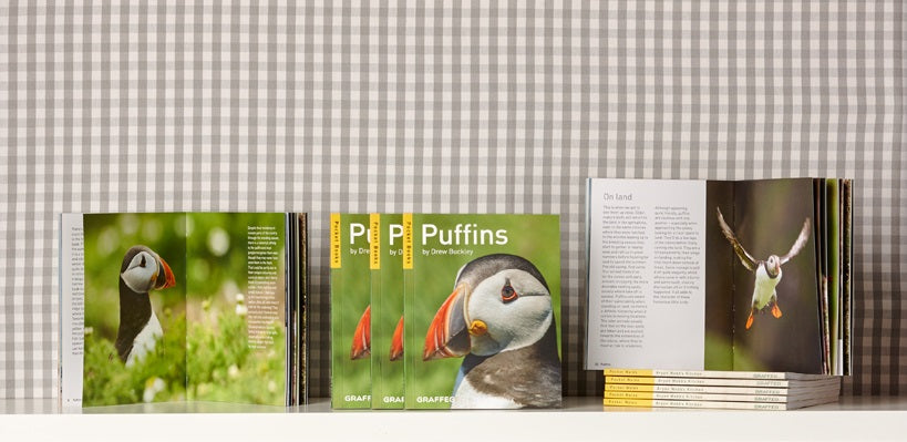 Puffins (Pocket Series)