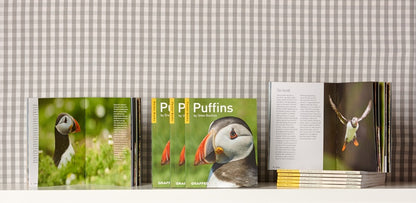 Puffins (Pocket Series)