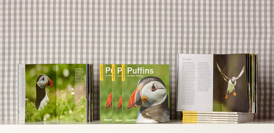 Puffins (Pocket Series)