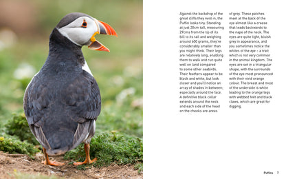 Puffins (Pocket Series)