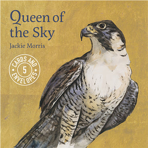 Jackie Morris Queen of the Sky Cards Pack One
