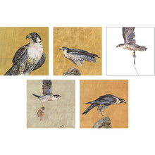 Load image into Gallery viewer, Jackie Morris Queen of the Sky Greetings Cards
