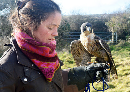 Queen of the Sky -  Compact Edition