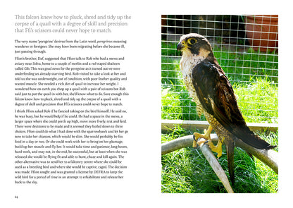 Queen of the Sky -  Compact Edition