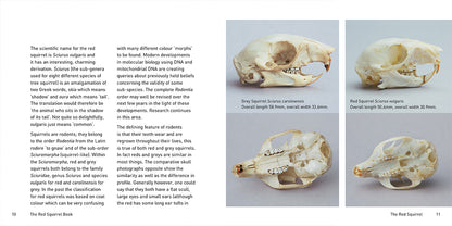 The Red Squirrel Book