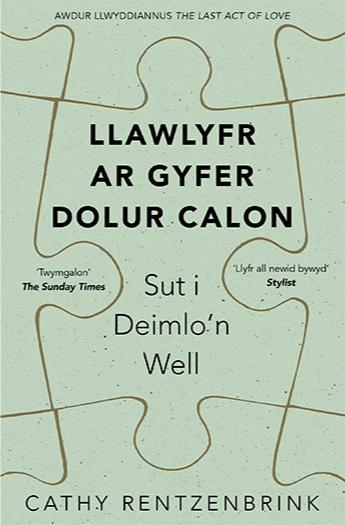 Llawlyfr ar Gyfer Dolur Calon