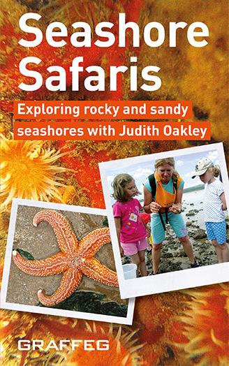 Seashore Safaris