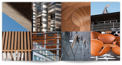 Senedd limited edition hardback with slipcase