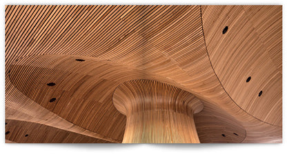 Senedd limited edition hardback with slipcase