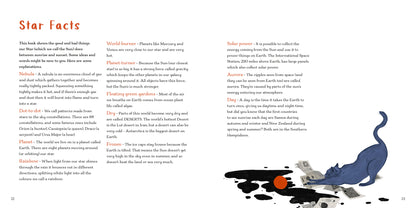 Shine Star Shine by Dom Conlon and Anastasia Izlesou book page environmental poetic picture book