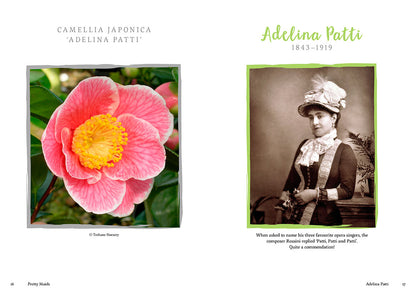 Pretty Maids by Mari Griffith