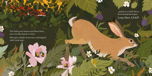 Leap, Hare, Leap by Dom Conlon and Anastasia Izlesou book page environmental poetic picture book