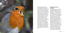 Load image into Gallery viewer, The Robin Book
