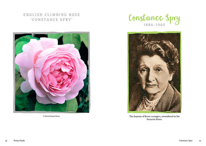 Pretty Maids by Mari Griffith