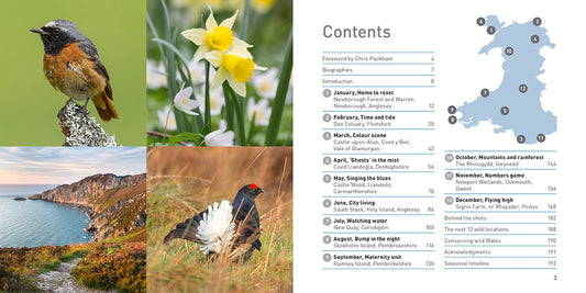 Wilder Wales Compact Edition