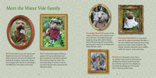 Load image into Gallery viewer, Bertram like to Sew Celestine and the Hare Karin Celestine published by Graffeg
