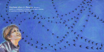 Perffaith gan Nicola Davies a Cathy Fisher, cyhoeddwyd gan Graffeg