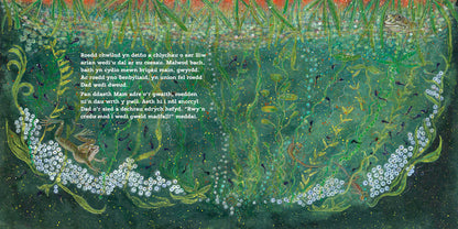 Y Pwll gan Nicola Davies a Cathy Fisher, cyhoeddwyd gan Graffeg