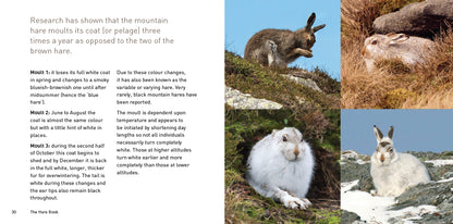 The Hare Book