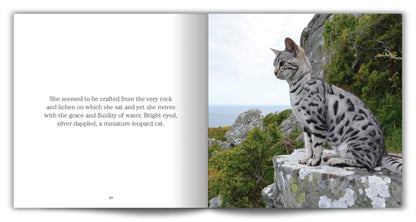 Cat Walk Jackie Morris Tom Cox published by Graffeg