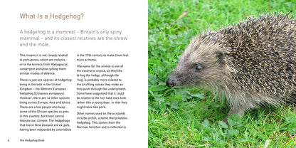 The Hedgehog Book