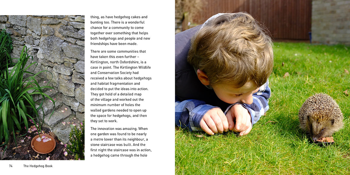 The Hedgehog Book