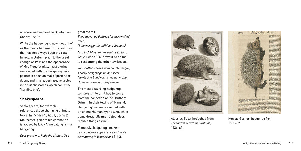 The Hedgehog Book