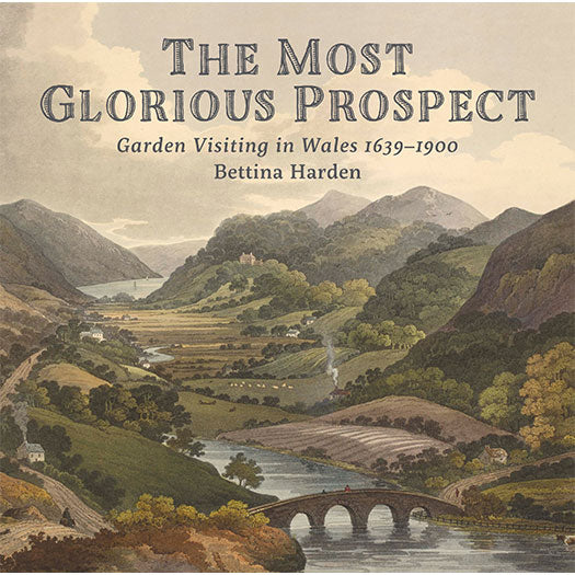 The Most Glorious Prospect by Bettina Harden