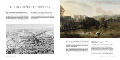 The Most Glorious Prospect by Bettina Harden